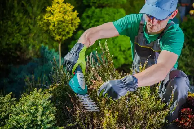 landscaping services Horse Cave